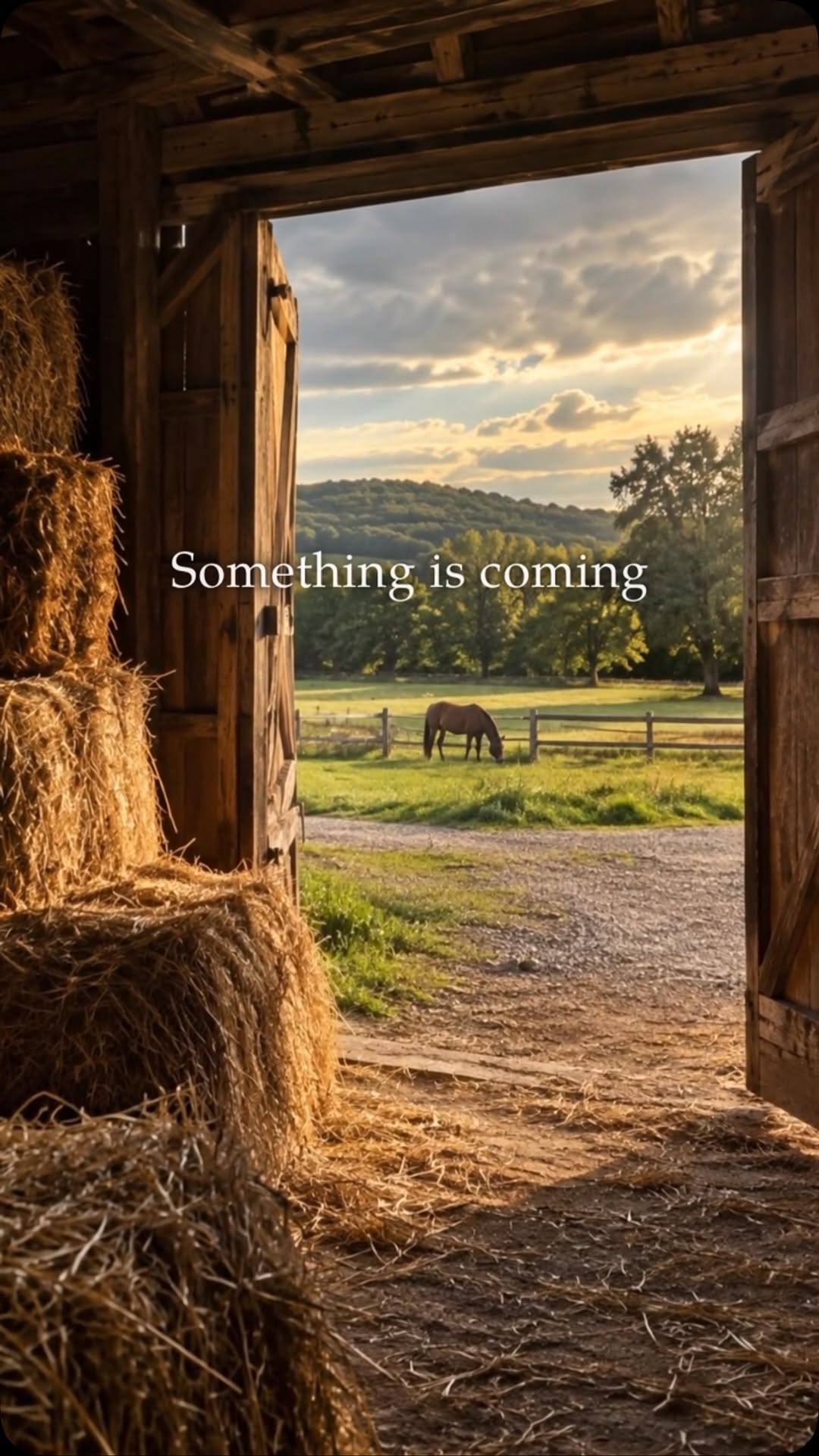 View from a barn onto a paddock
