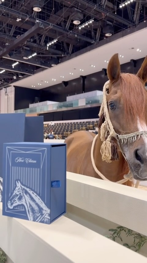 Mori Charm gift box beside a chestnut horse