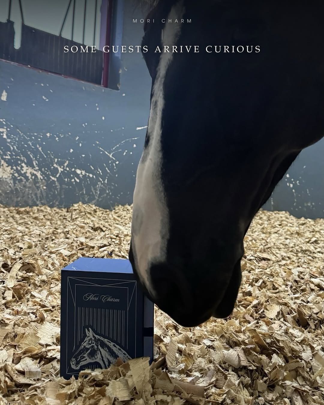 White horse beside a Mori Charm bag